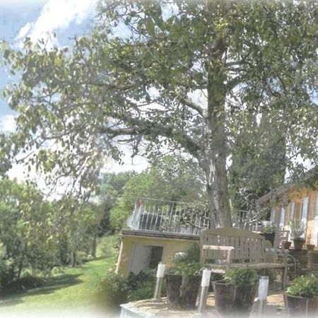 Maison d'Hotes du Vert Vallon Theize Exterior foto